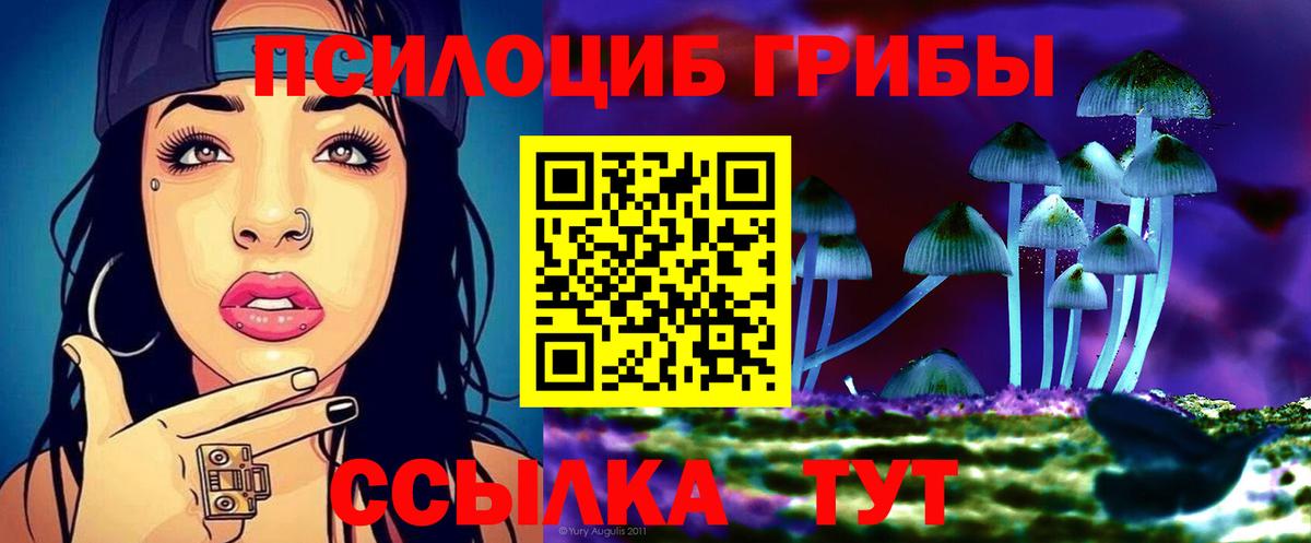 Зерноград  Галлюциногенные грибы Psilocybe  Вход с VPN  Галлюциногенные грибы Cubensis 